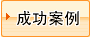 �ɹ�����